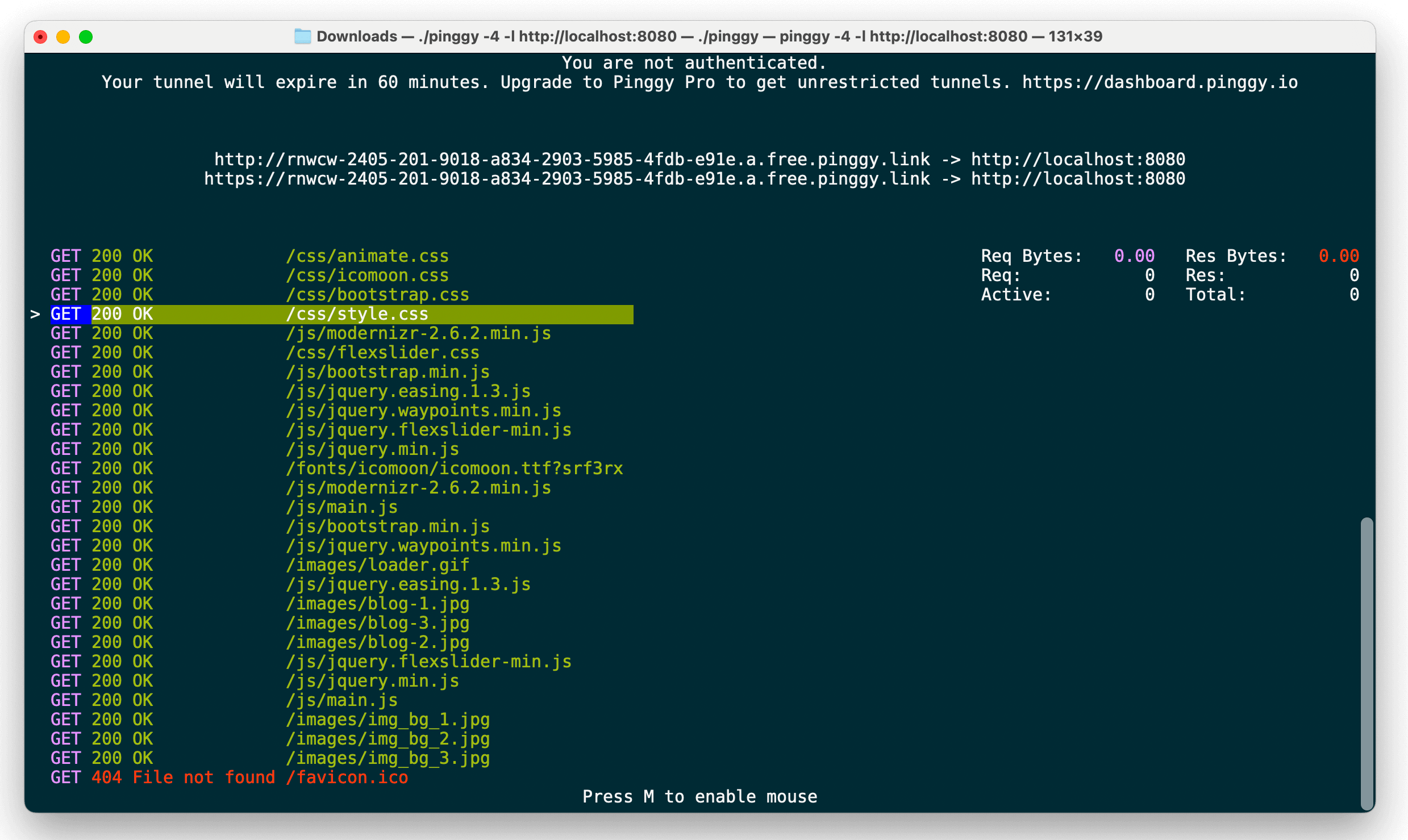 Pinggy Dev/Test Environment Gateway